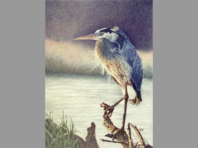 go to 'Blue Heron' page
